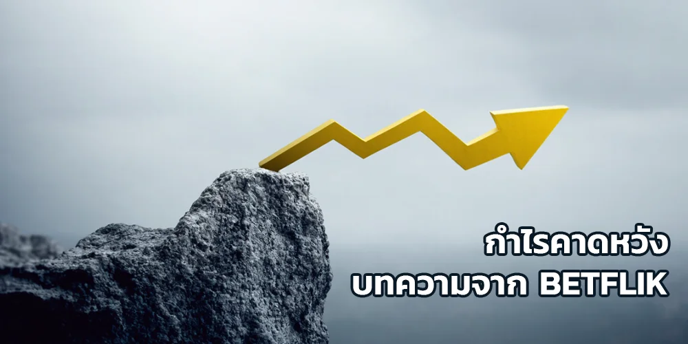กำไรคาดหวัง-betflik-original